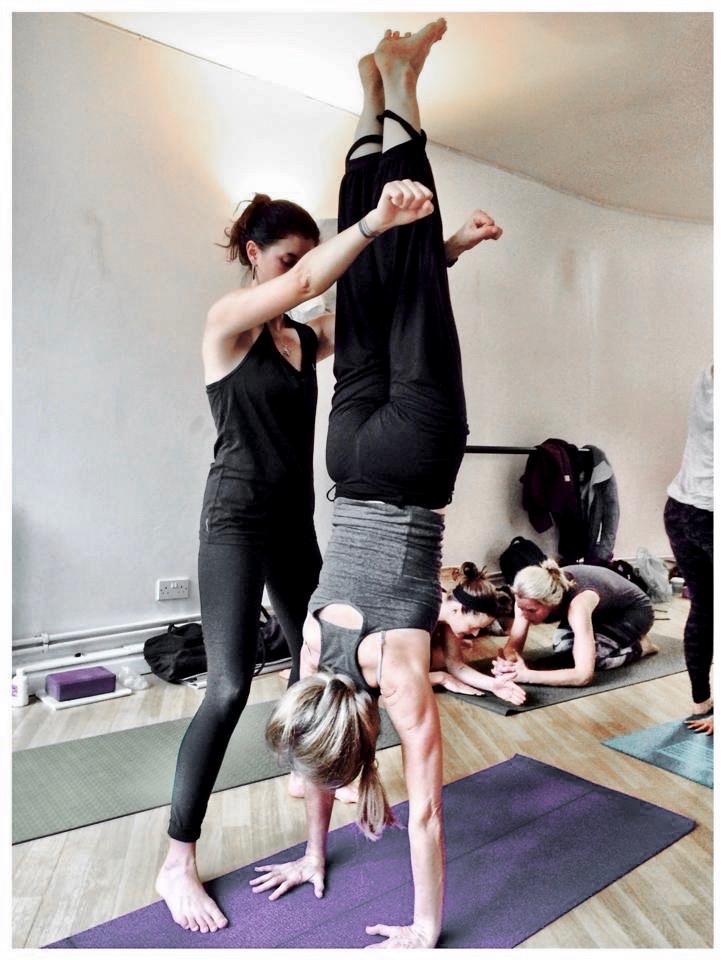 1465251_10151888816411156_770518128_n